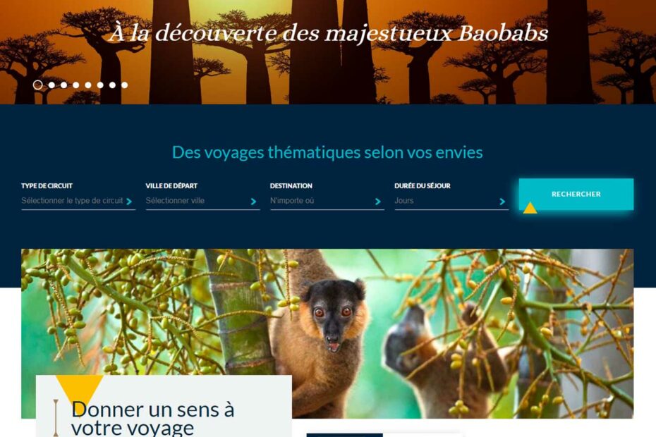 Création de site Arcadia Travel Madagascar