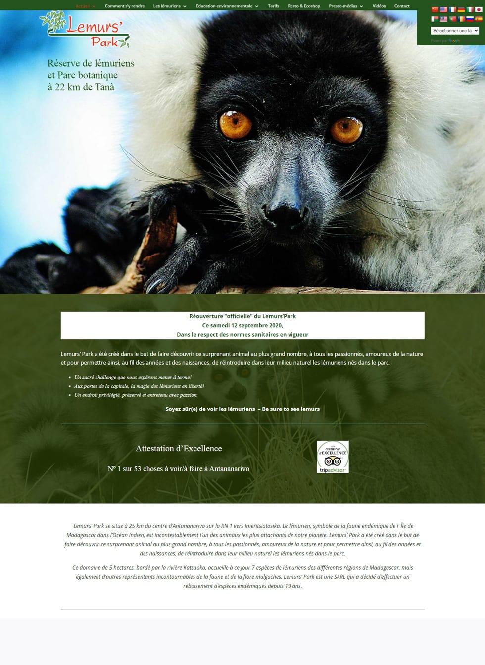 lemurs_park_site-min