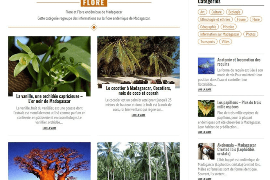 creation du site madagascar vision